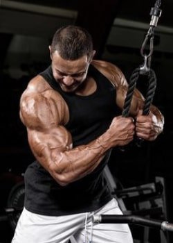 Ganho Muscular
